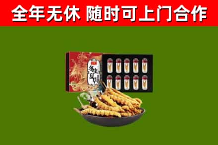 澄迈县回收冬虫夏草价格