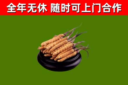澄迈县烟酒回收冬虫夏草.jpg